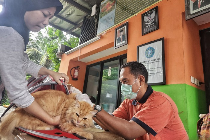 Hewan peliharaan, seperti anjing, kucing, burung, dan reptil, telah menjadi bagian dari kehidupan banyak keluarga di seluruh dunia.