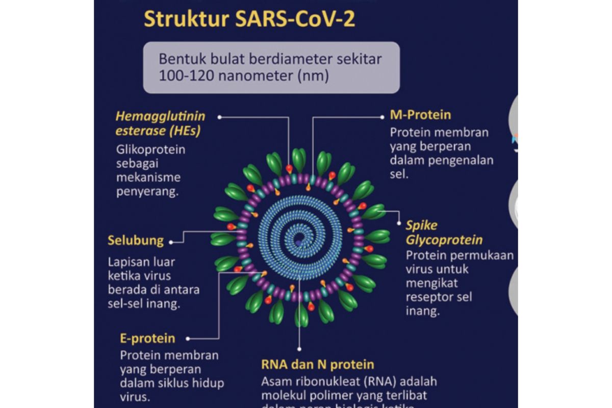 Jakarta - Kementerian Kesehatan (Kemenkes) mengimbau jamaah haji asal Indonesia agar senantiasa mewaspadai penularan penyakit Middle East Respiratory Syndrome Coronavirus (MERS-CoV) selama menjalankan ibadah di Tanah Suci. "Meskipun kasus MERS-CoV ini tidak banyak dan terkendali di Arab Saudi